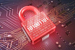 天啦嚕！5億用戶隱私數(shù)據(jù)泄漏事件敲響警鐘，網(wǎng)絡(luò)與信息安全軟件開發(fā)何去何從？